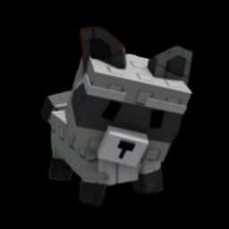 Raccoon