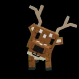 Spotted Deer